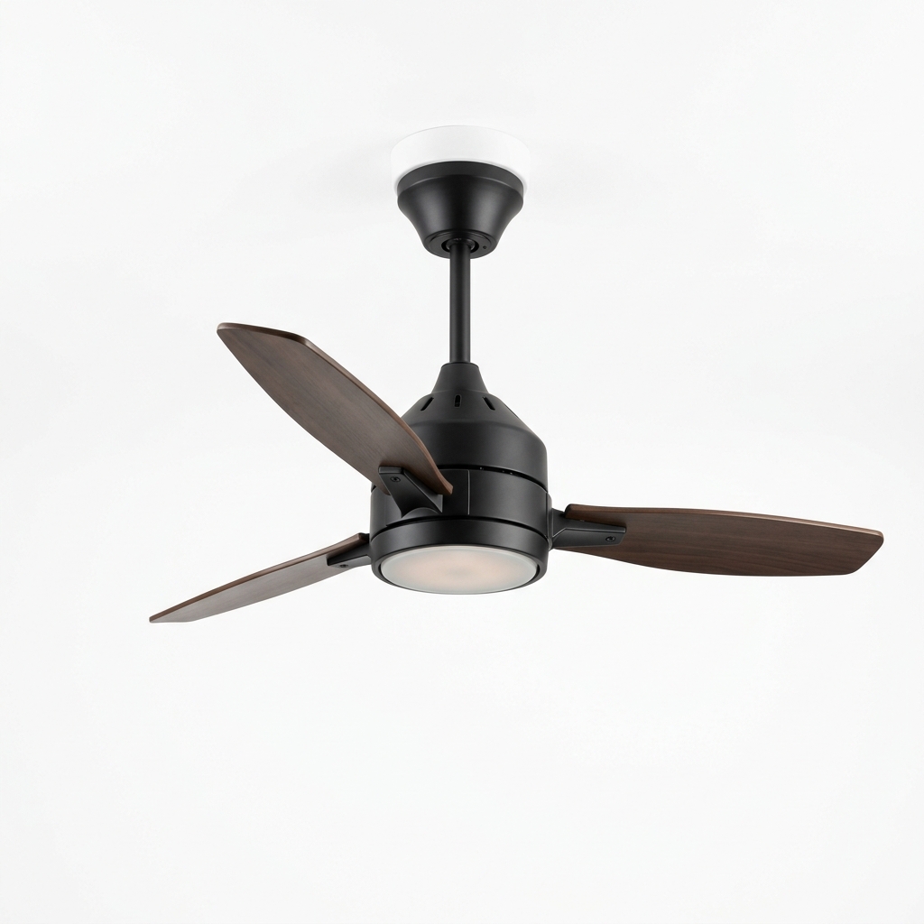 Ceiling Fan